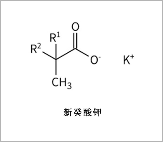 銅陵市噴涂硬泡催化劑