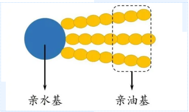 有機(jī)銅試劑 Organocuprate